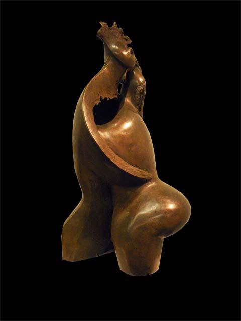 le_coq_amoureux6